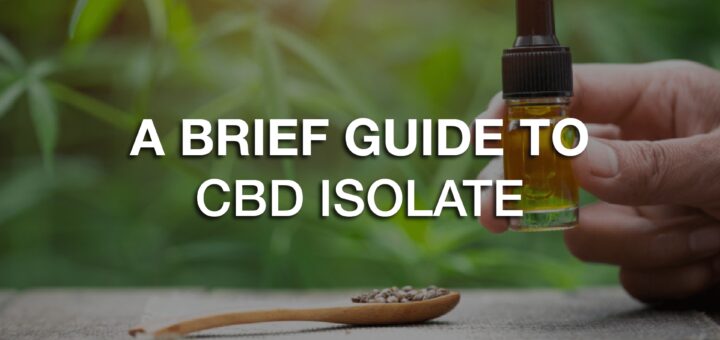 Un bref guide sur l’isolat de CBD