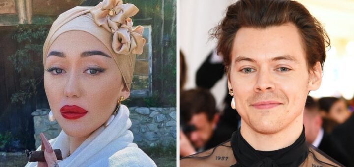 Noah Cyrus a utilisé un terme raciste pour défendre Harry Styles