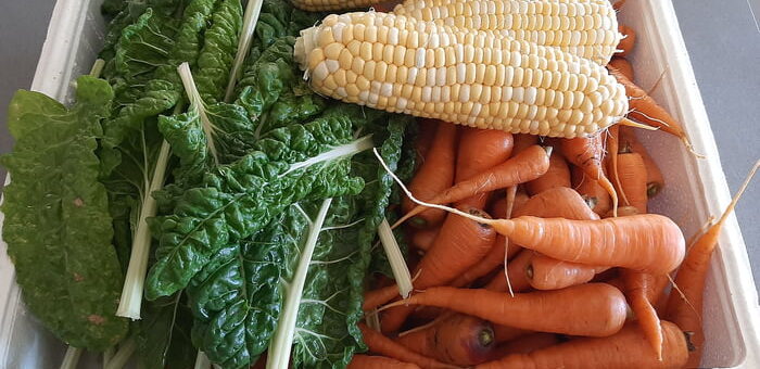 A commencé un potager il y a quelques mois. C’est ma deuxième récolte depuis que j’ai commencé. Fière de moi