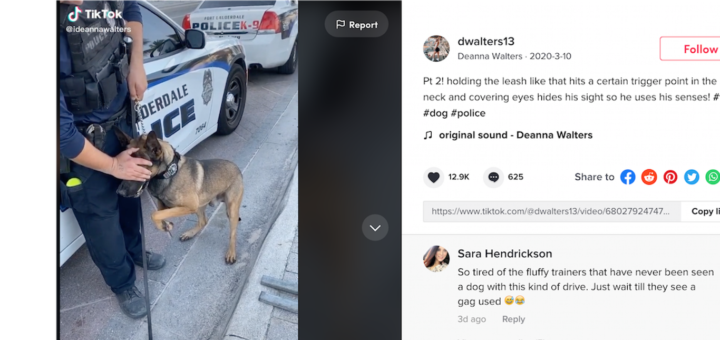 TikTok viral de la police de Fort Lauderdale K-9 expliqué