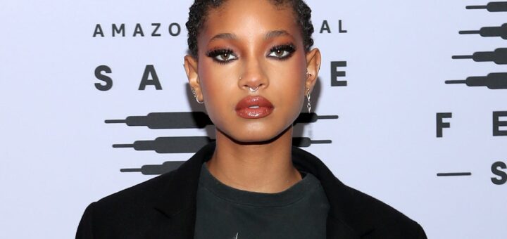 Willow Smith dit qu’un cyberharceleur a fait irruption chez elle